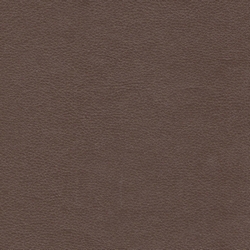 Искусственная кожа CHILI