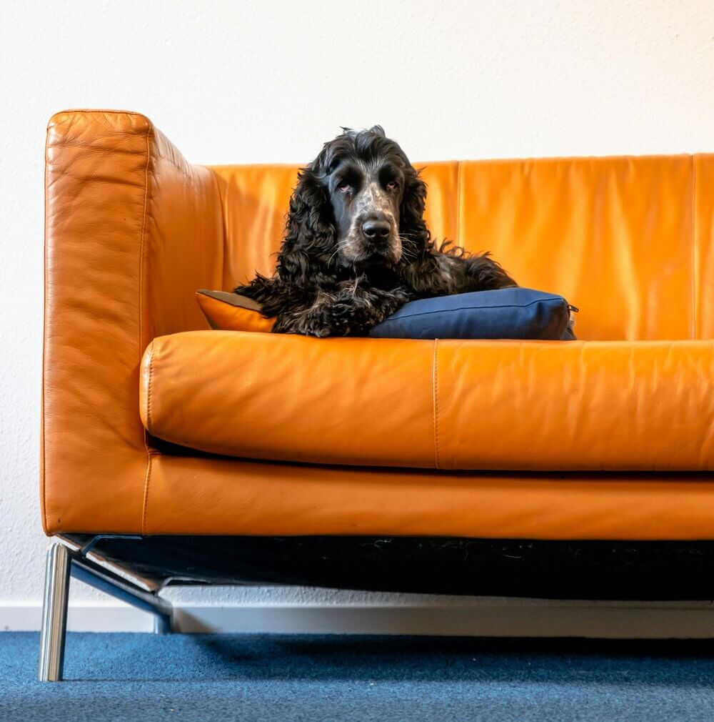 Мебельные ножки