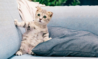 Перетяжка мебели